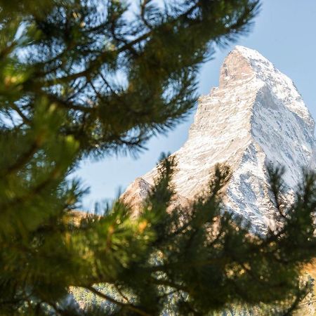 Bed & Breakfast Bijou Zermatt Exterior photo