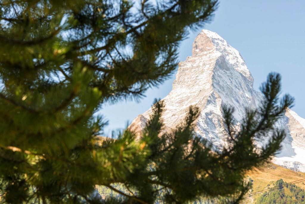 Bed & Breakfast Bijou Zermatt Exterior photo
